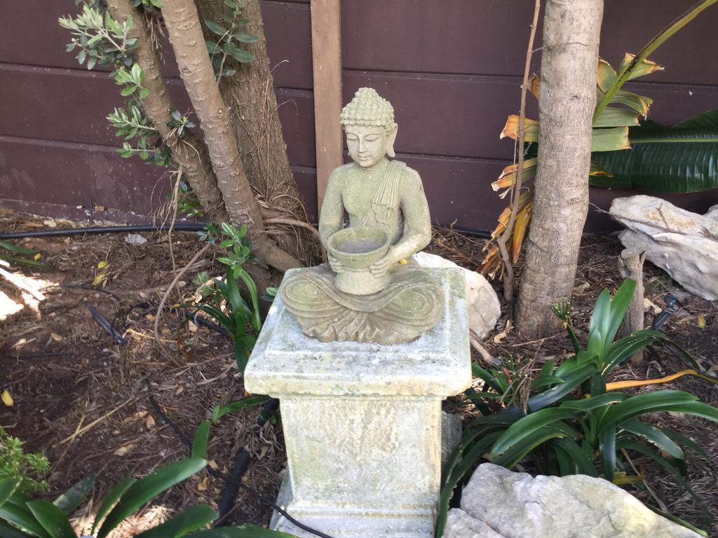 The Buddha Garden Kapstaden Exteriör bild